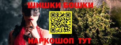 СК Обь