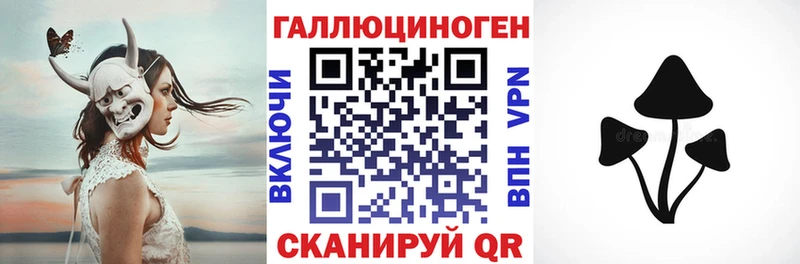 где можно купить наркотик Благовещенск Псилоцибиновые грибы Cubensis