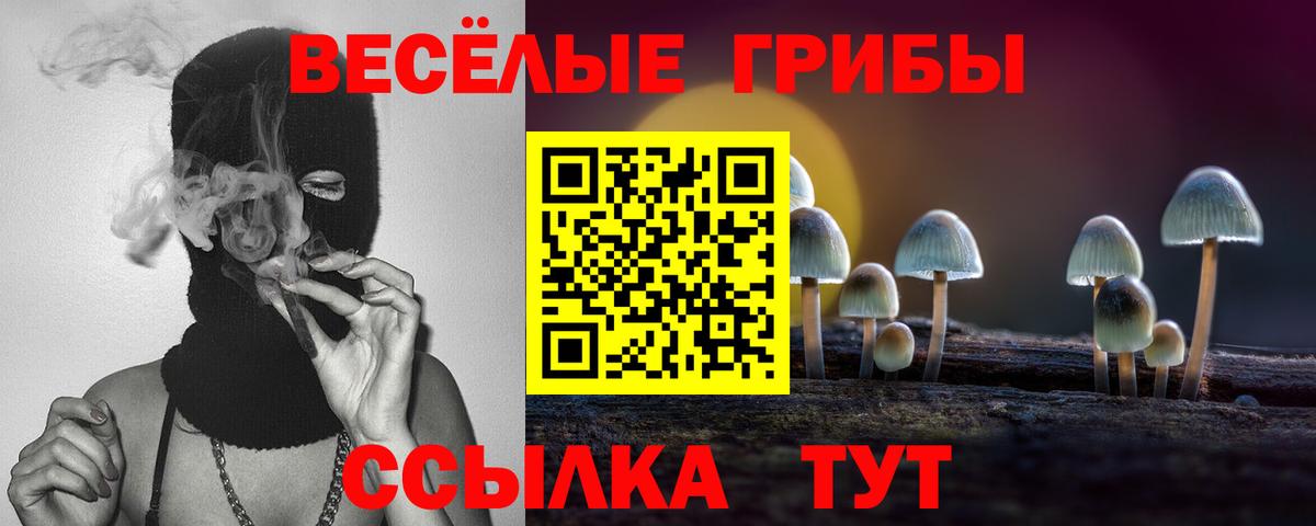 Псилоцибиновые грибы ЛСД  Вход с VPN  Псилоцибиновые грибы прущие грибы  Благовещенск 